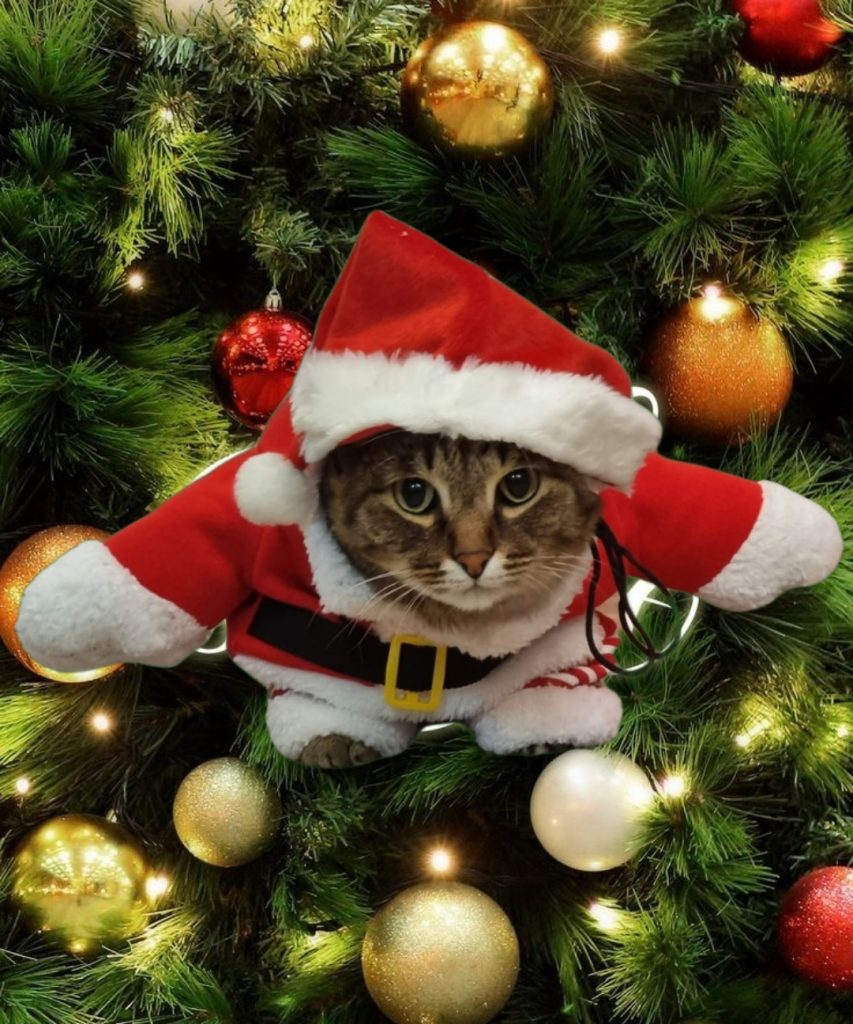 Сахалайф конкурс SAKHALIFE