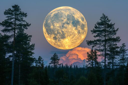 полнолуние