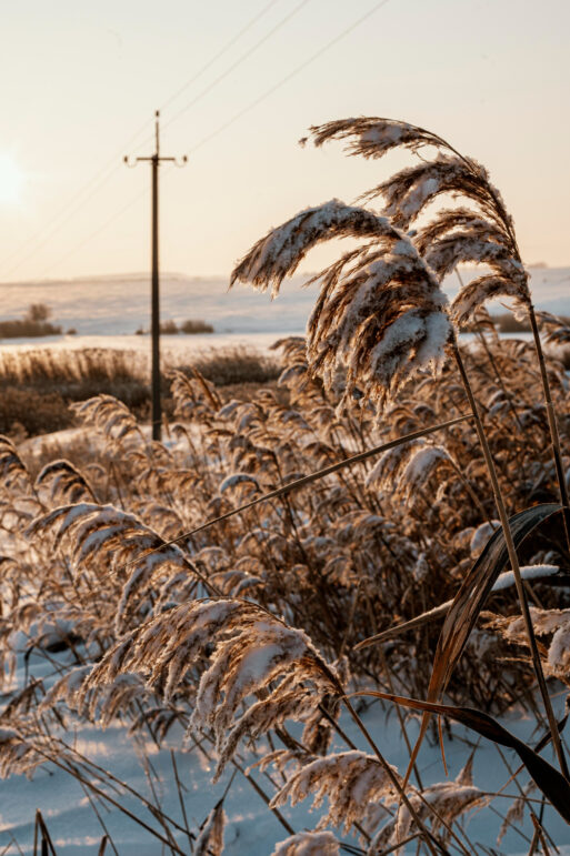 проводы осени
