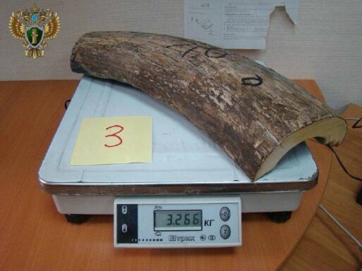 контрабанда