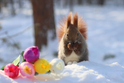 равноденствие