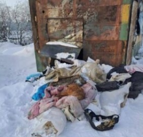 жестокое обращение