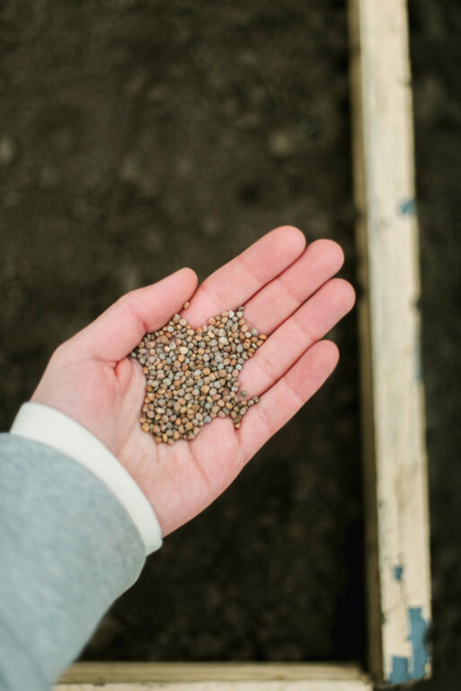 почва в огороде прогрелась для высадки
