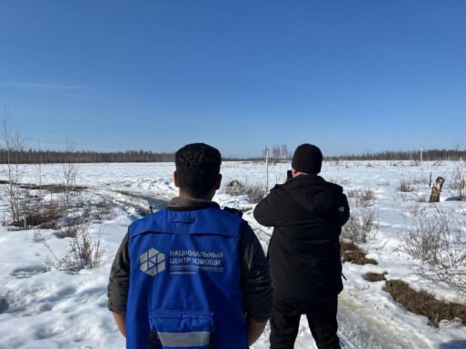 николай бородин