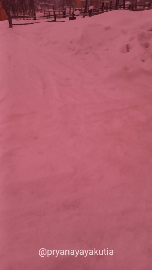 пурпурный закат