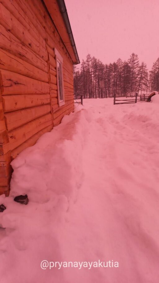 розовое небо