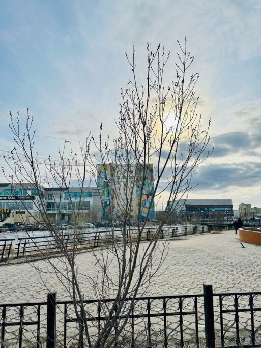 обряды на вербное воскресенье