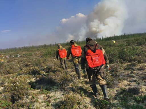 Лесные пожары 