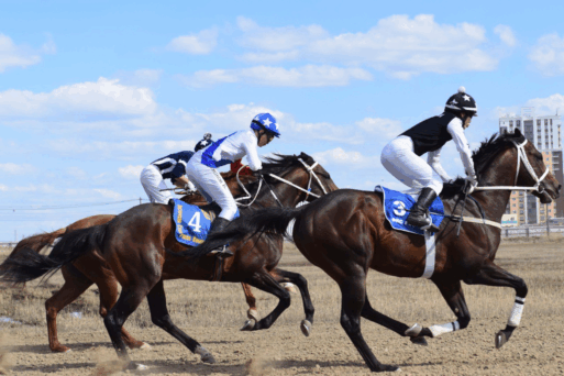 конные скачки 2025