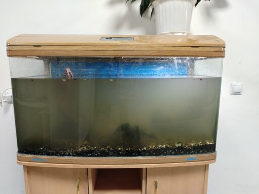 грязный аквариум