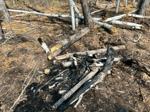 пропавший охотник