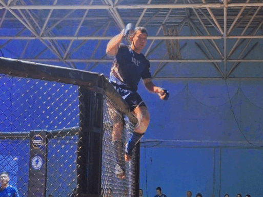  Турнир по ММА