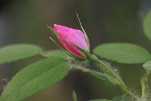 потепление