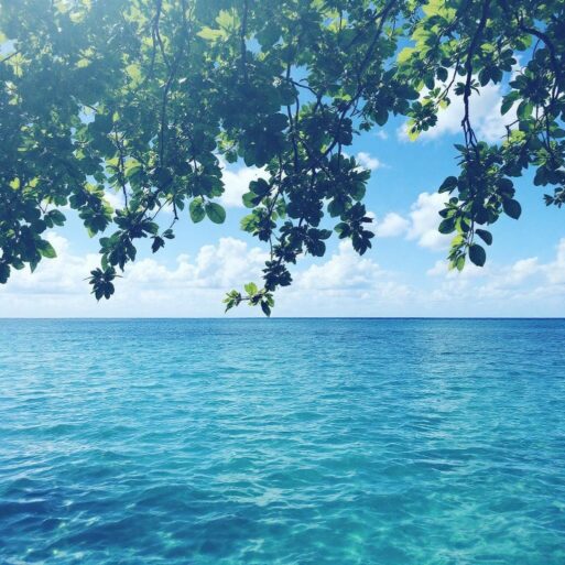 гороскоп на август