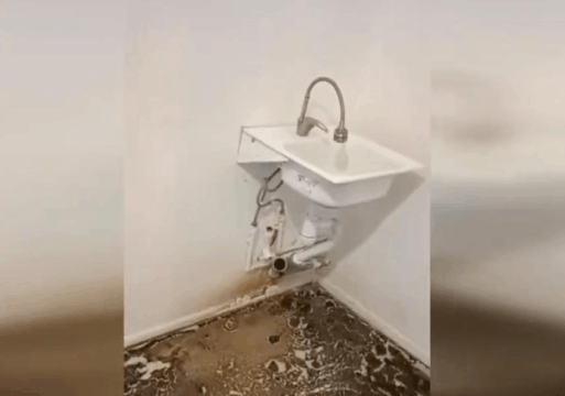 многодетная семья