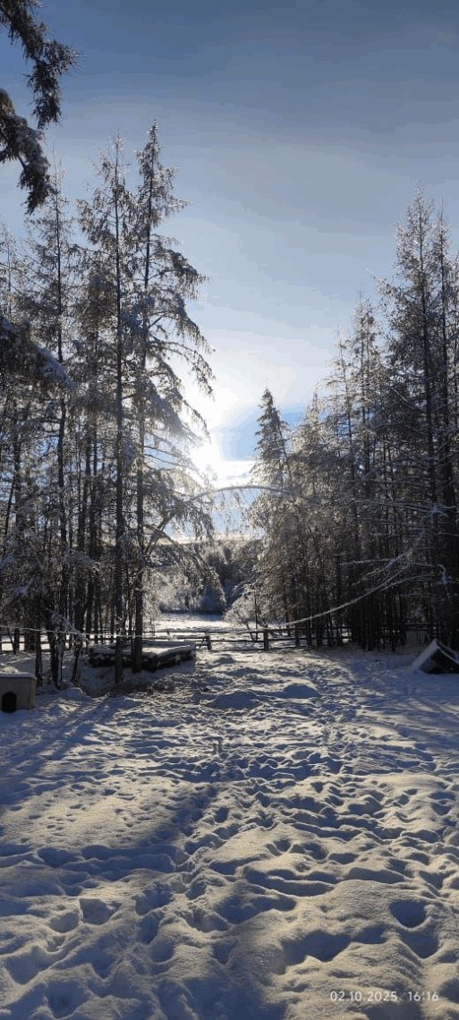 пропал мужчина