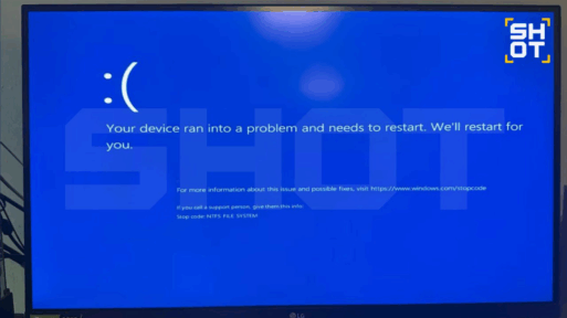Windows 11