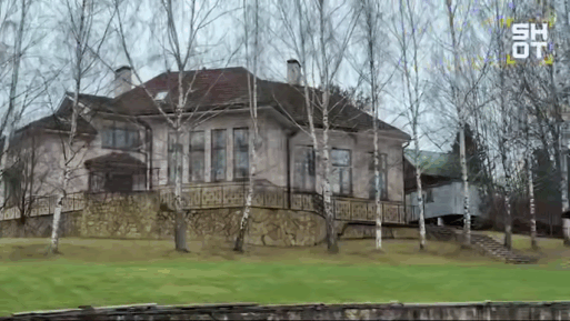 Лариса Долина