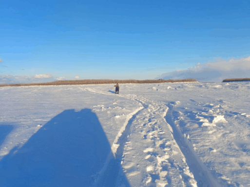 Булунский район