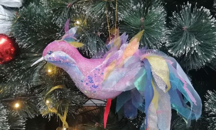 photo_2025-12-13_21-38-30