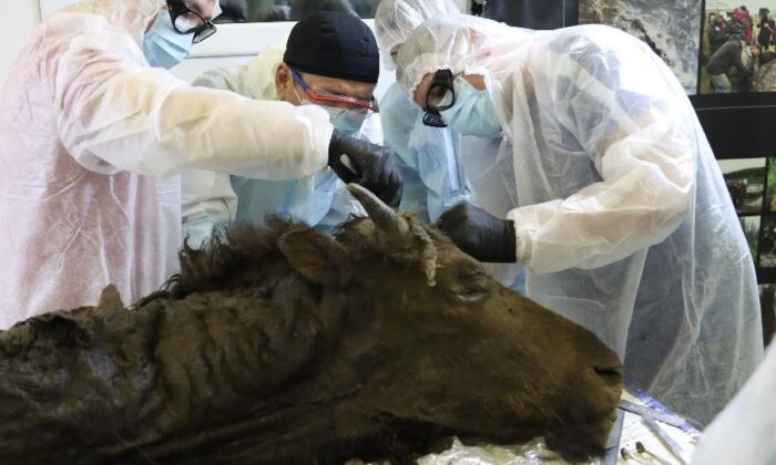 WhatsApp-Image-2023-03-14-at-12.15.43