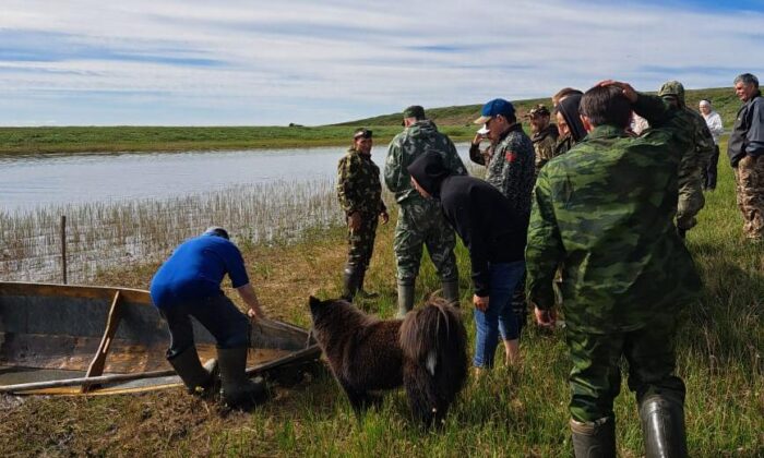 Изображение WhatsApp 2023-07-19 в 15.34.49